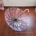 Special Shape Helm Transparent POE Umbrella Promotional